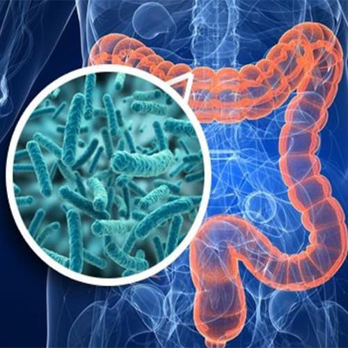 TRATTAMENTO INTEGRATO DELLE DISBIOSI E MICOSI INTESTINALI (ROMA) TRATTAMENTO INTEGRATO DELLE DISBIOSI E MICOSI INTESTINALI (ROMA)