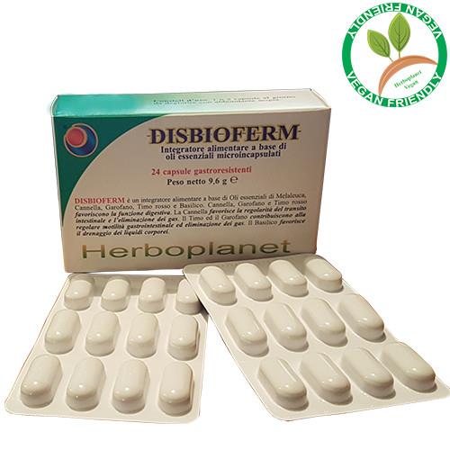 DISBIOFERM - Digestive function, regularity of intestinal transit and gas elimination