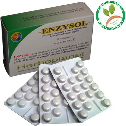 ENZYSOL - Contribuisce alla funzionalità digestiva