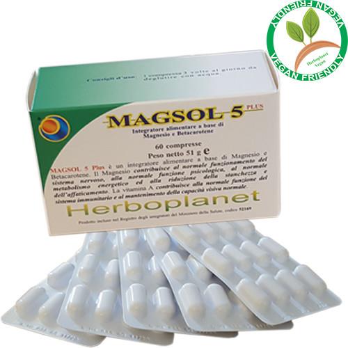 MAGSOL 5 PLUS  - Supplément de magnésium - Système nerveux, psychologique et musculaire