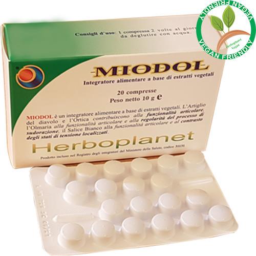 MIODOL  - Joint functionality, localized states of tension